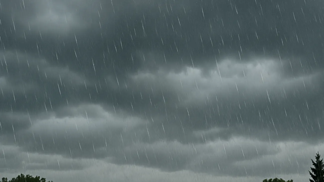 Wetter"